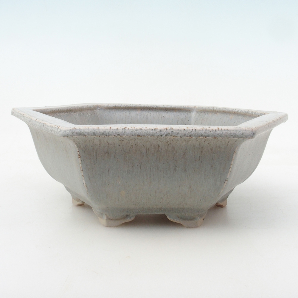Bonsai bowl H05 - 19 x 21,5 x 7 cm. - beżowy