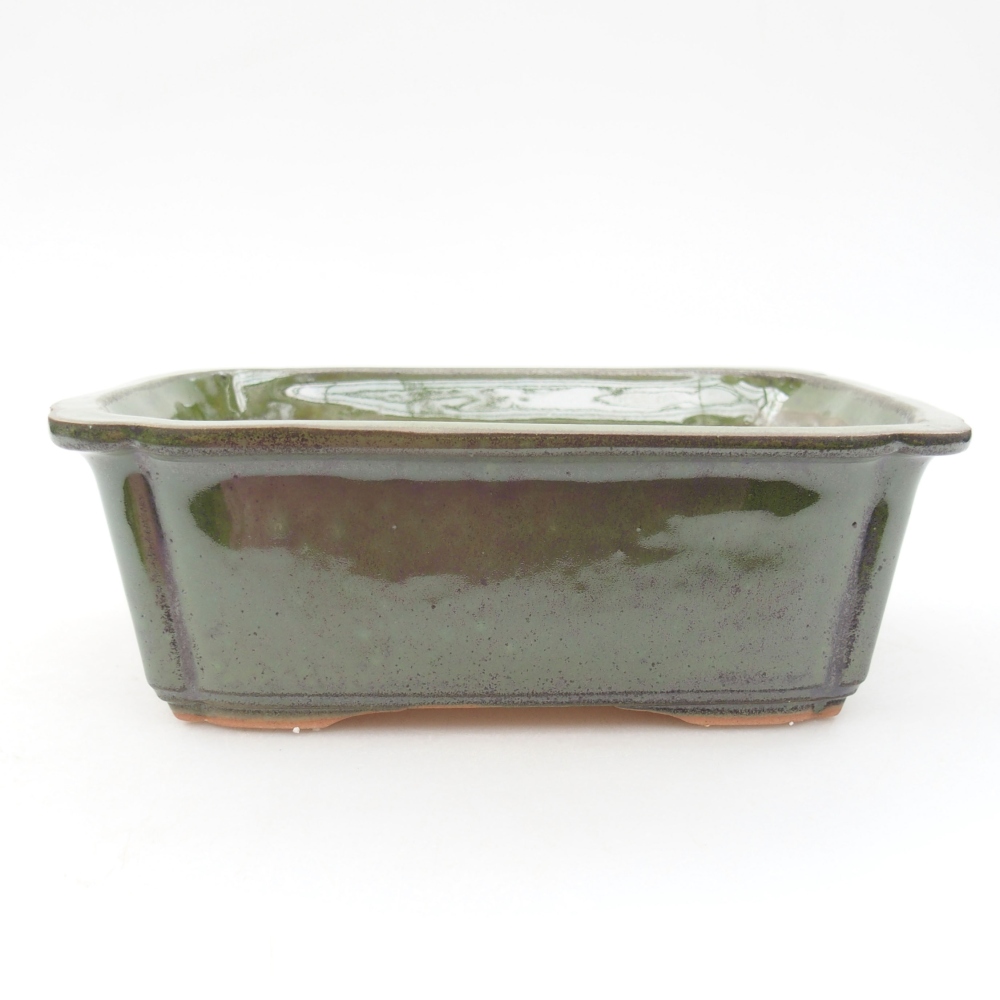 Ceramiczna miska bonsai 17,5 x 12,5 x 6 cm, kolor zielony
