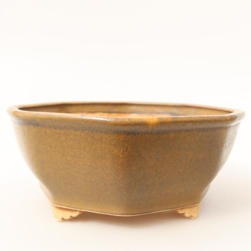 Ceramiczna miska do bonsai 17 x 16 x 6,5 cm, kolor brązowy