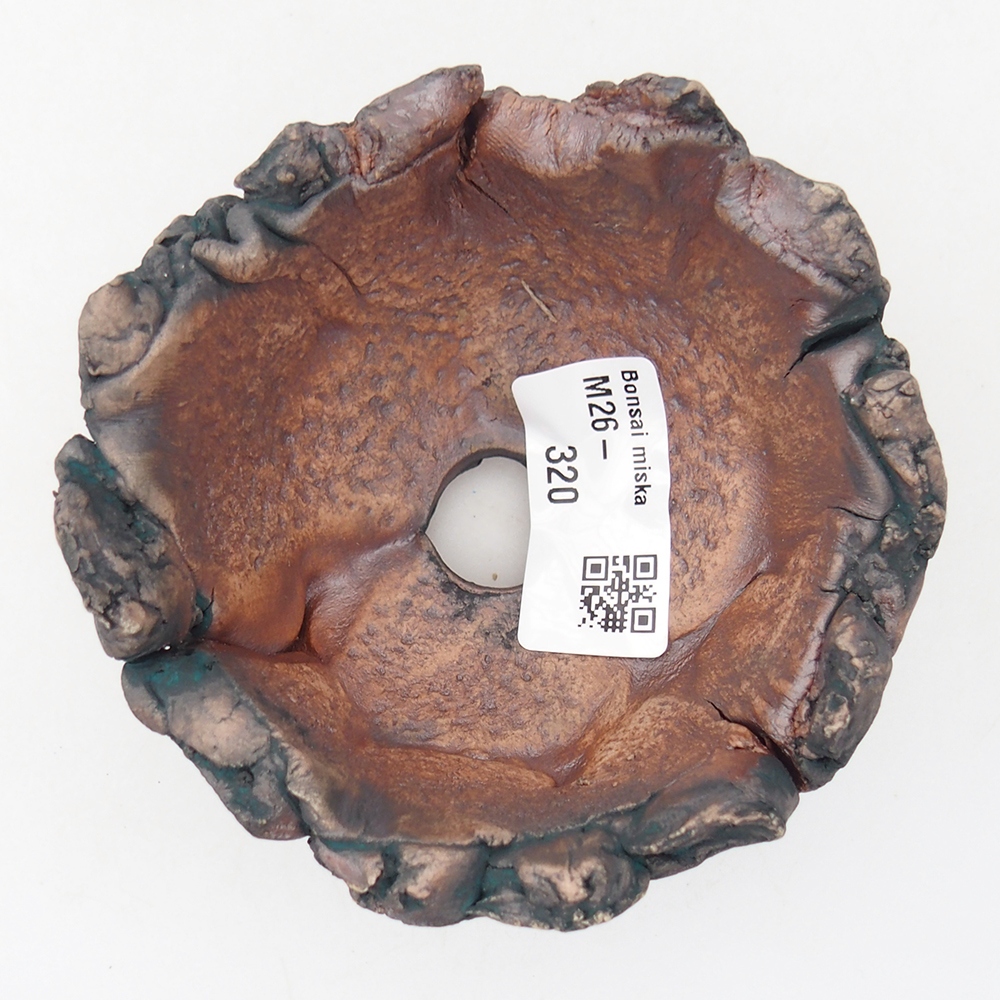 Ceramiczna muszla 9,5 x 9 x 6 cm, kolor zielony