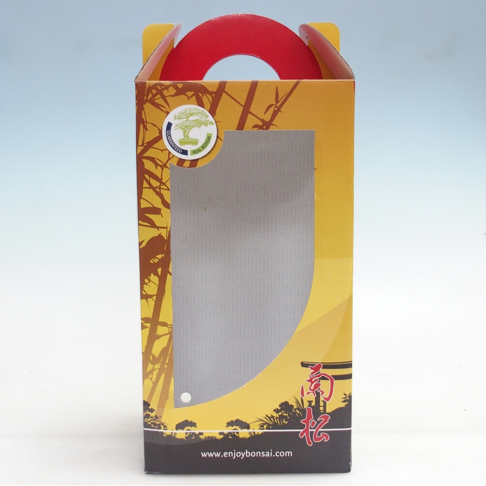 Papierowe pudełko na bonsai na prezent