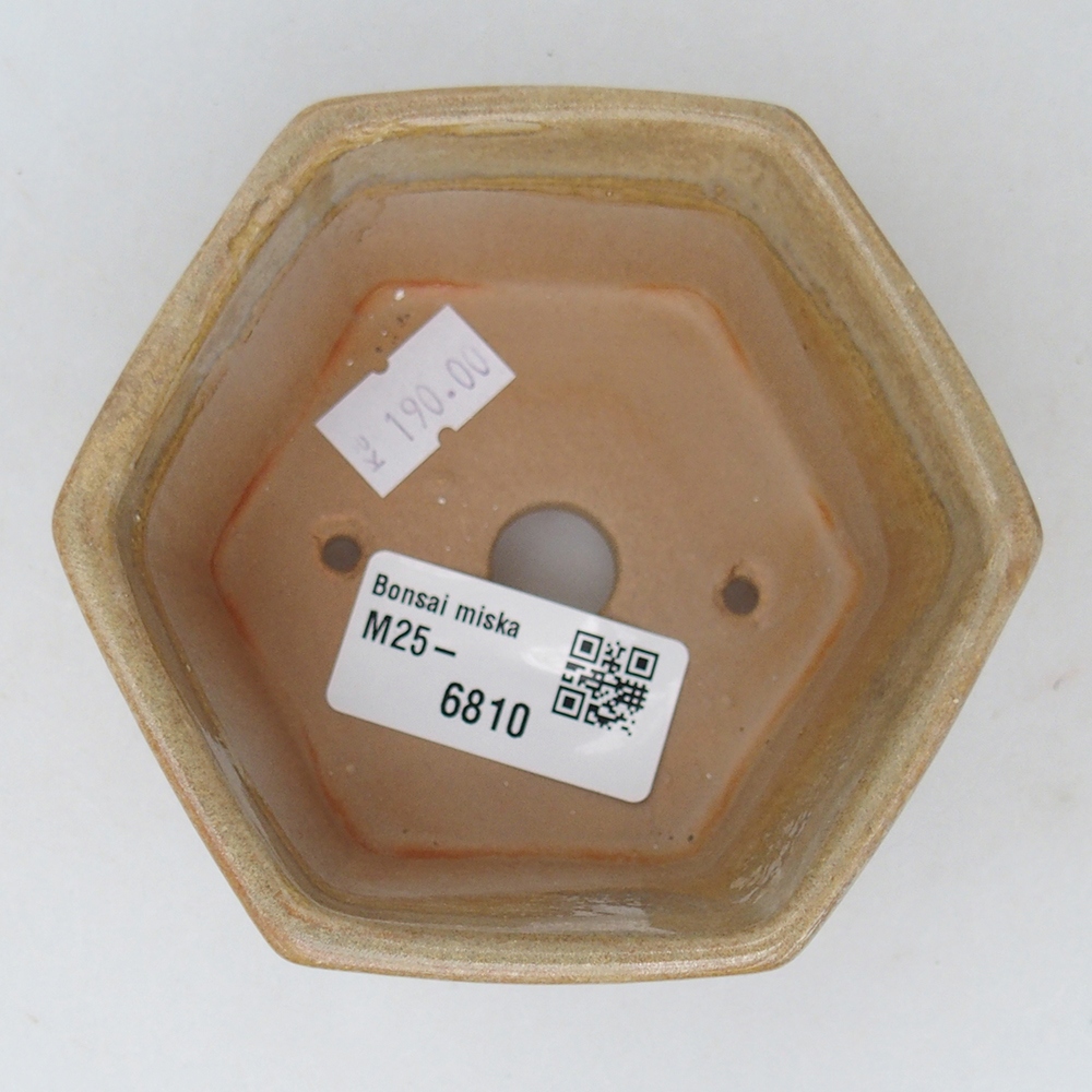 Ceramiczna miska do bonsai 10,5 x 9,5 x 5 cm, kolor beżowy