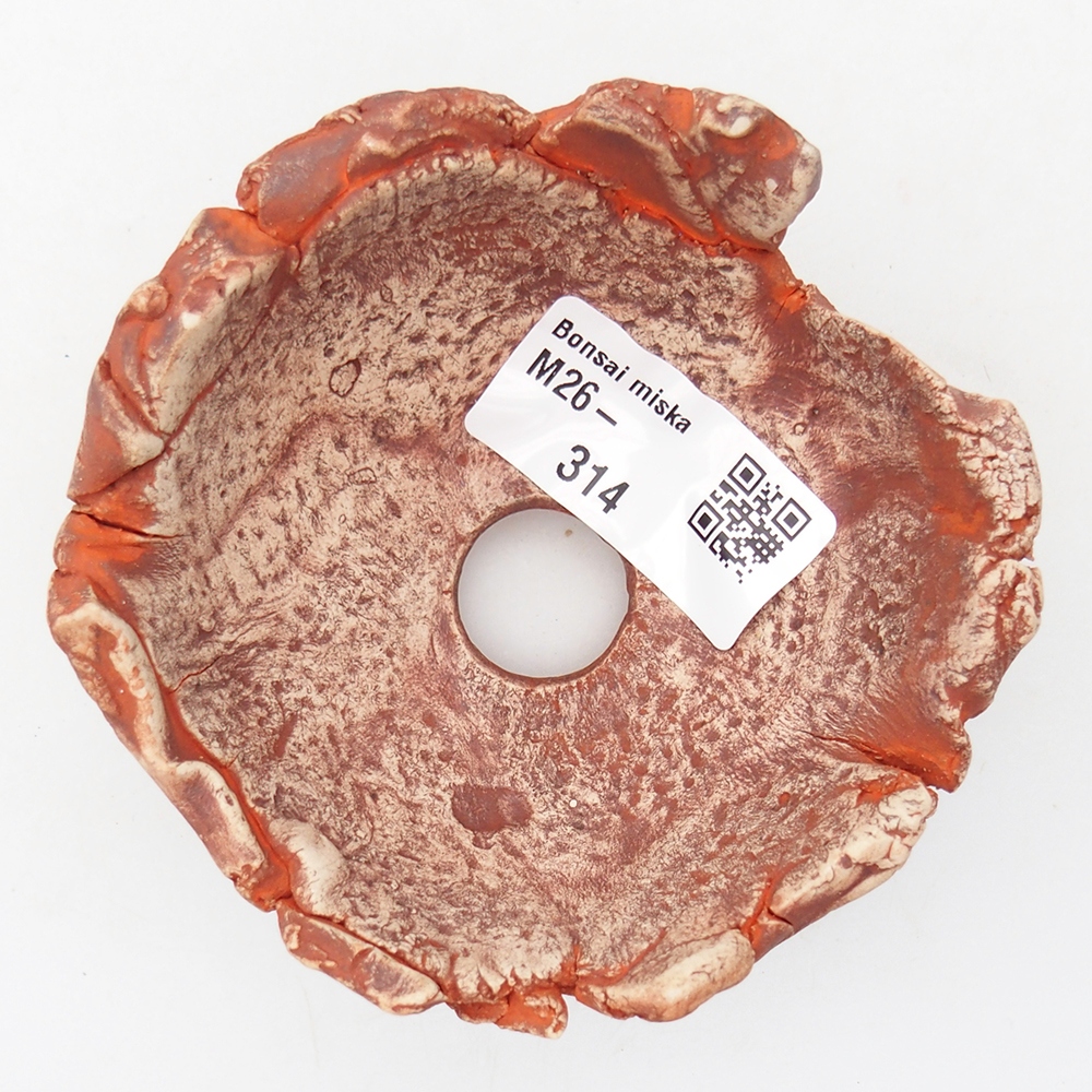 Ceramiczna skorupa 9 x 9 x 5 cm, kolor pomarańczowy