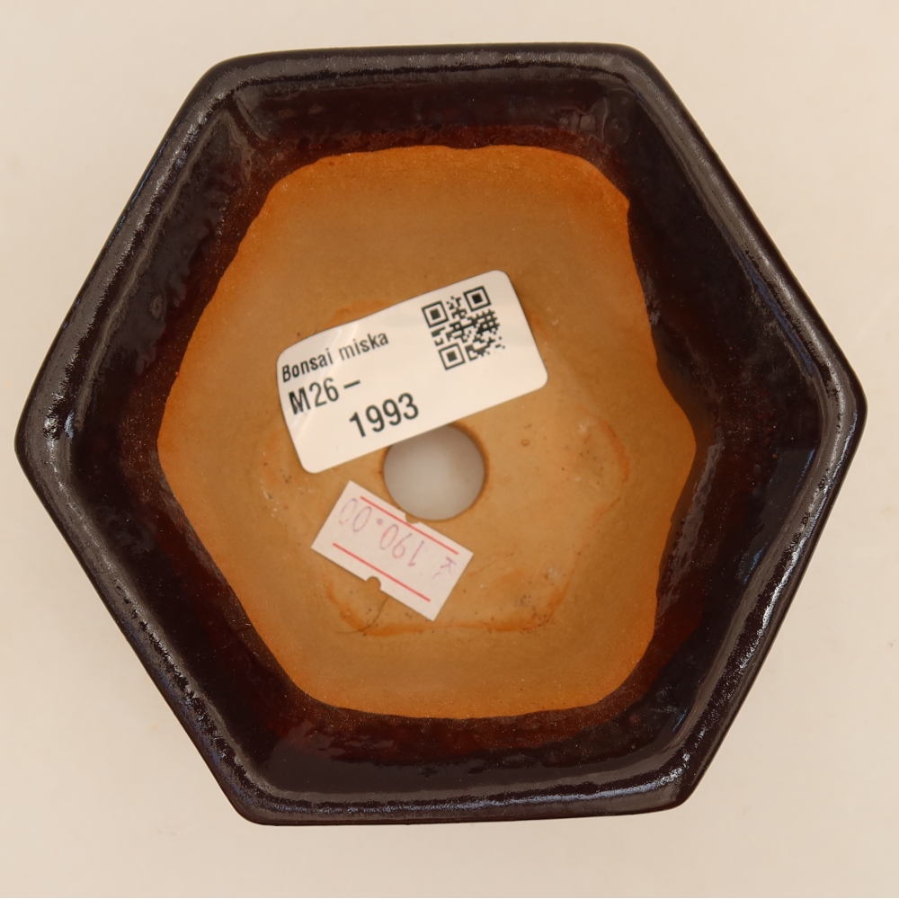 Ceramiczna miska do bonsai 10,5 x 9,5 x 5,5 cm, kolor czarny