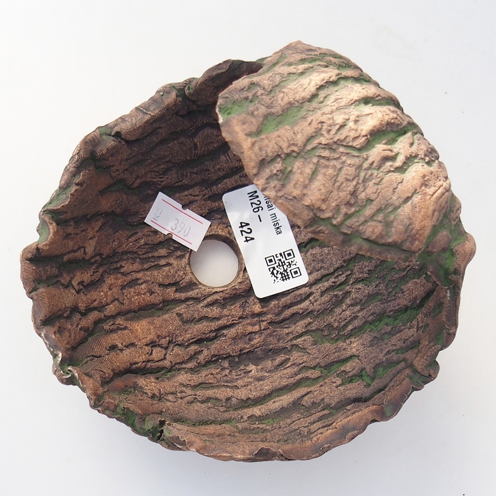 Ceramiczna muszla 13 x 13 x 12 cm, kolor zielony