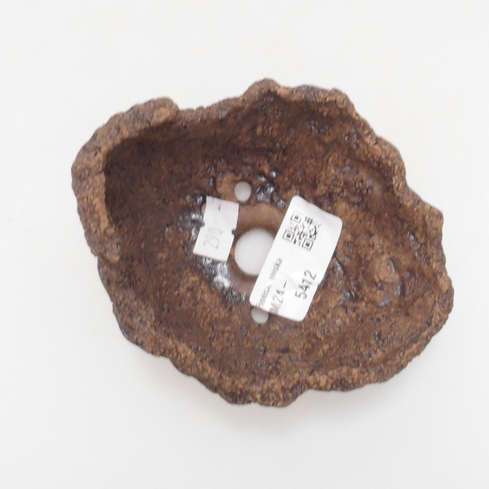 Muszla ceramiczna 9 x 8 x 8,5 cm, kolor brązowy