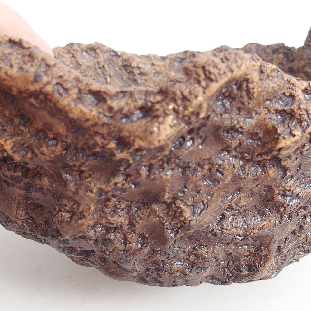 Ceramiczna skorupa 19 x 15 x 14 cm, kolor brązowy