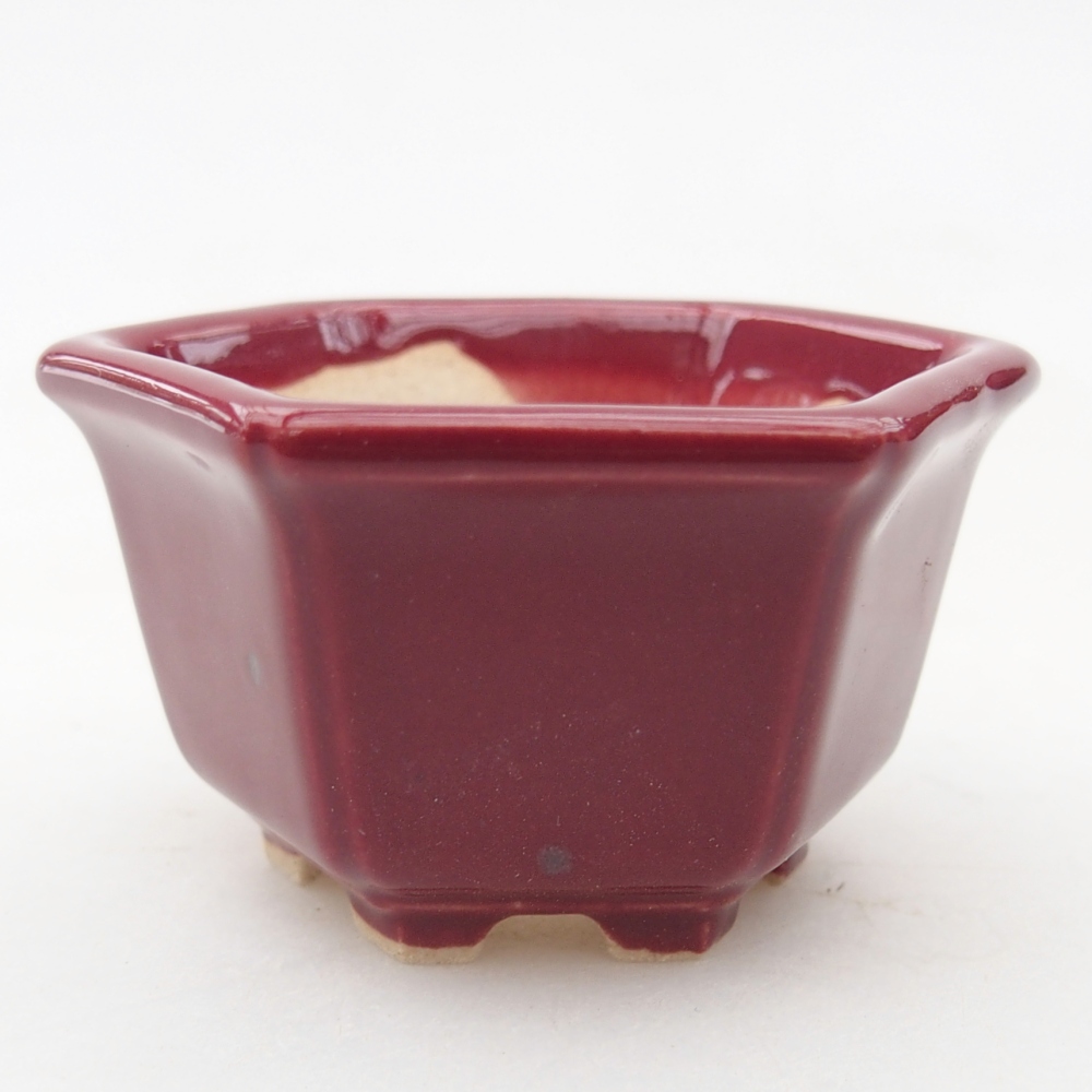 Mini miska do bonsai 5 x 4,5 x 3 cm, bordowa