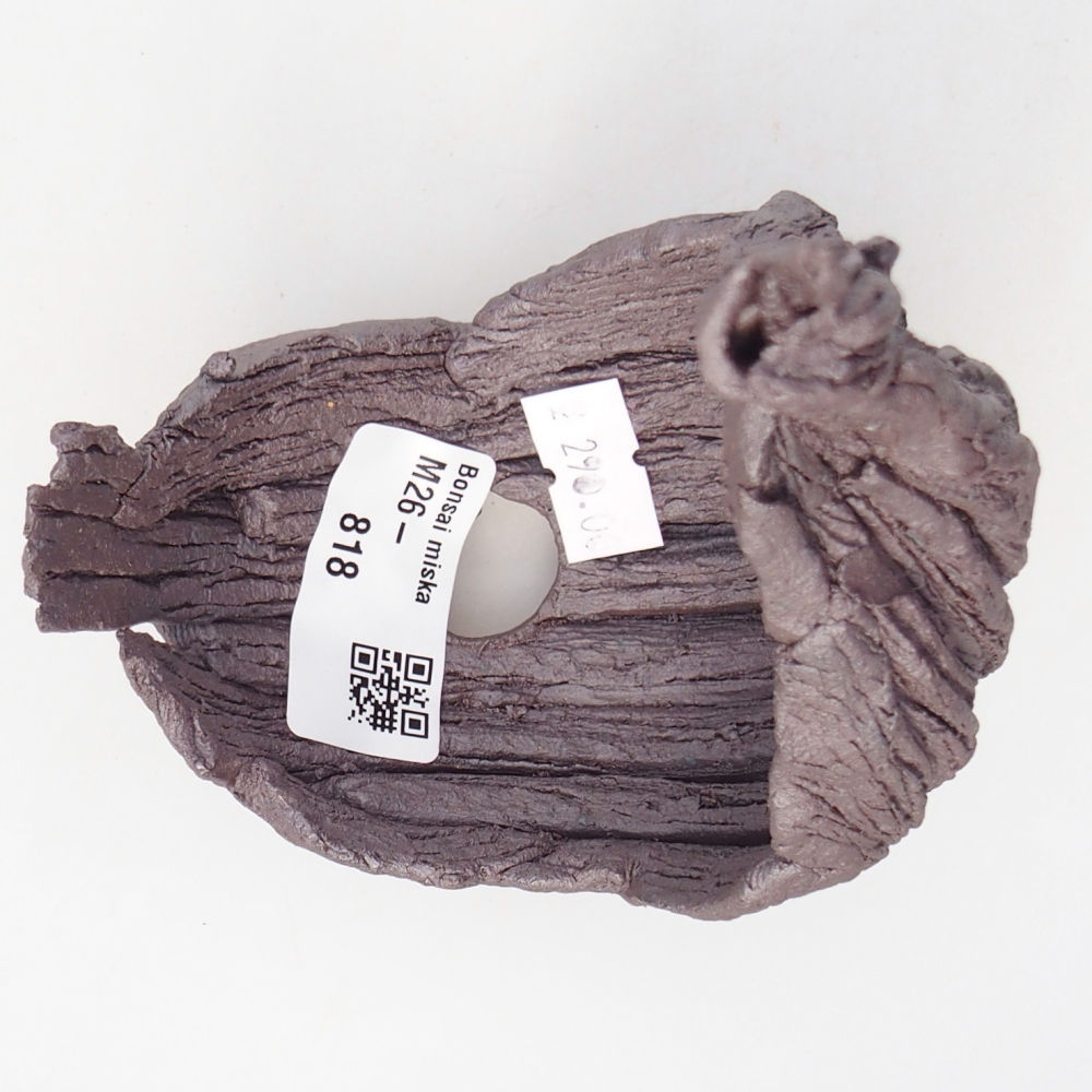 Muszla ceramiczna 10 x 8 x 14,5 cm, kolor metaliczny