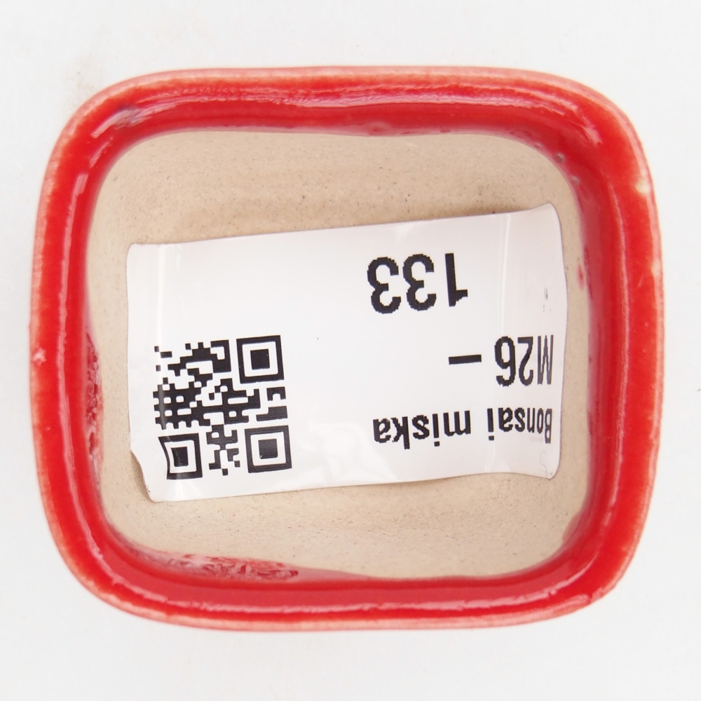 Mini miska do bonsai 4 x 3,5 x 2,5 cm, kolor czerwony