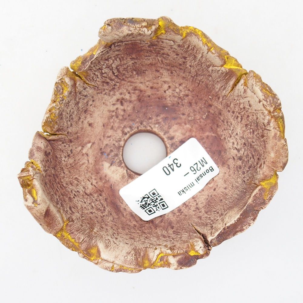 Ceramiczna muszla 9 x 9 x 5,5 cm, żółta