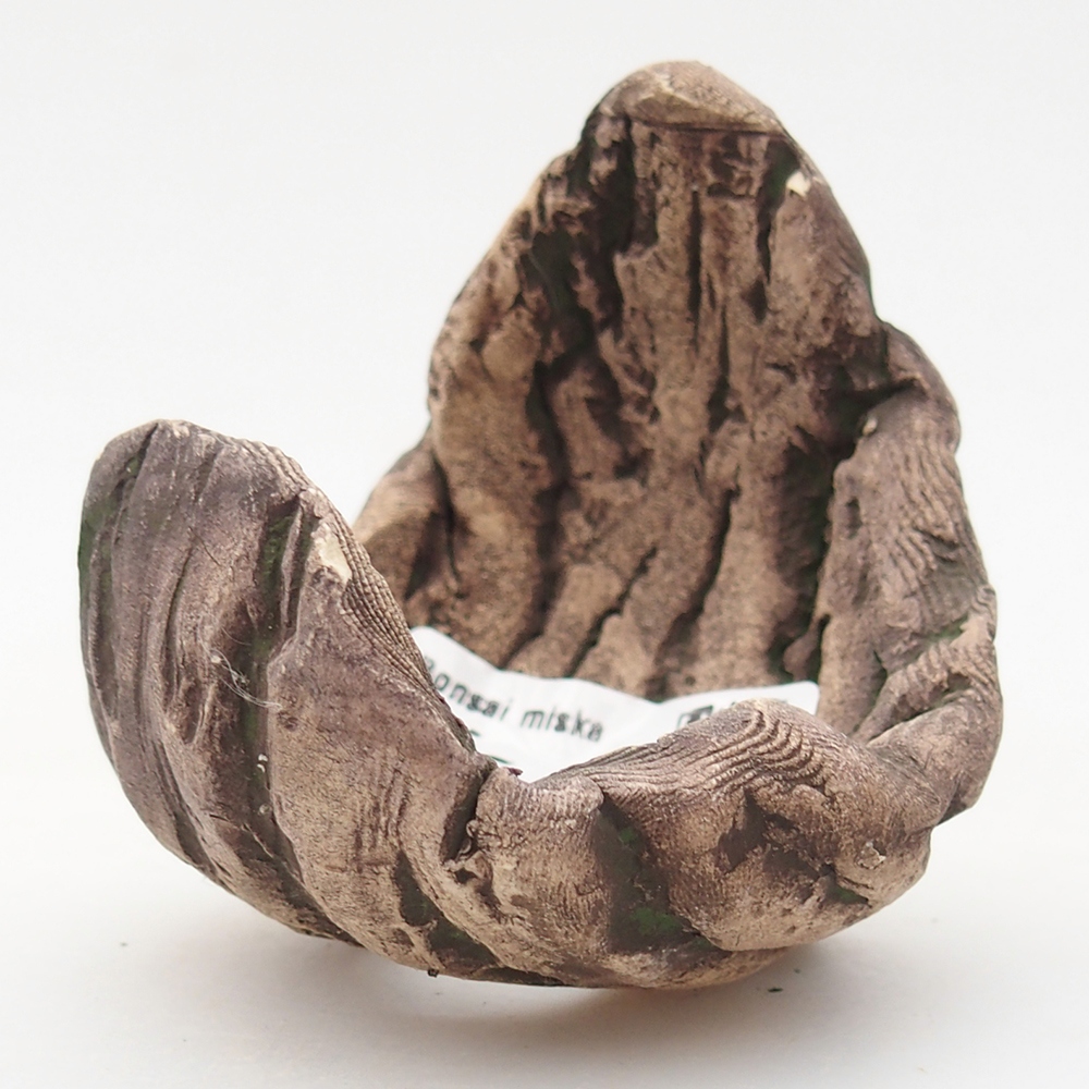 Ceramiczna muszla 6,5 x 6,5 x 8 cm, kolor zielony