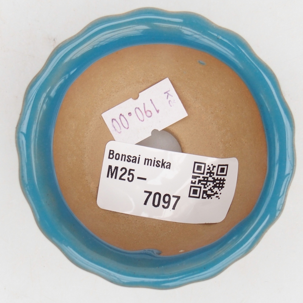 Ceramiczna miska na bonsai 7 x 8,5 x 3,5 cm, kolor niebieski