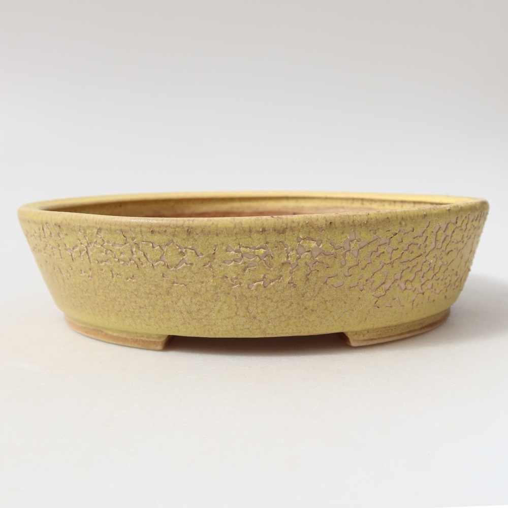 Ceramiczna miska do bonsai 18,5 x 16,5 x 4,5 cm, kolor żółty