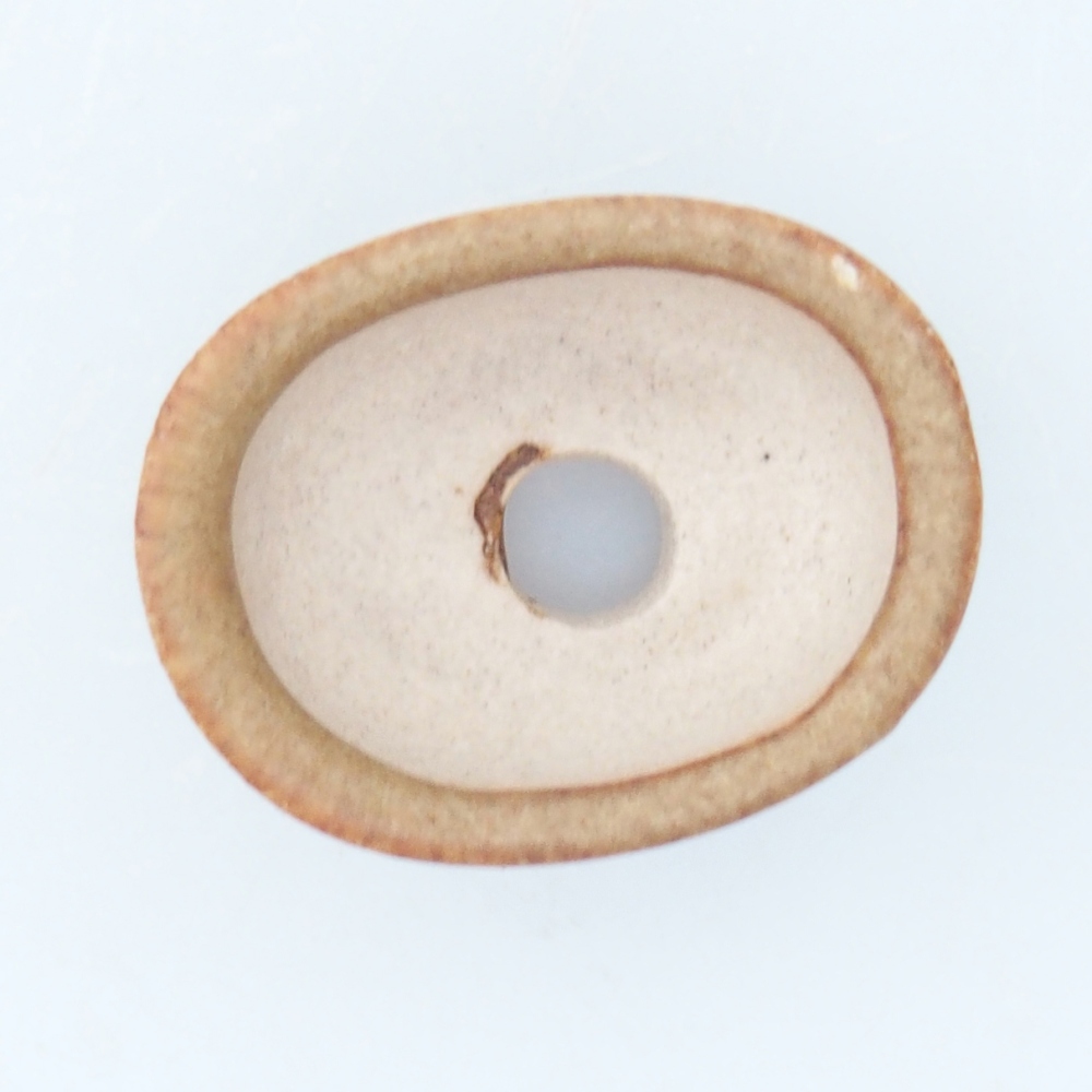 Mini miska do bonsai 2,5 x 2 x 1,5 cm, brązowa