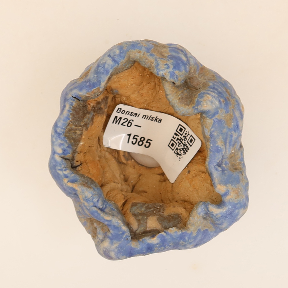 Ceramiczna skorupka  5 x 4 x 5 cm, kolor niebieski