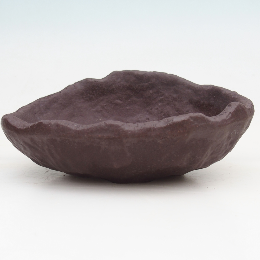 Ceramiczna muszla 15 x 11 x 6,5 cm, kolor brązowy