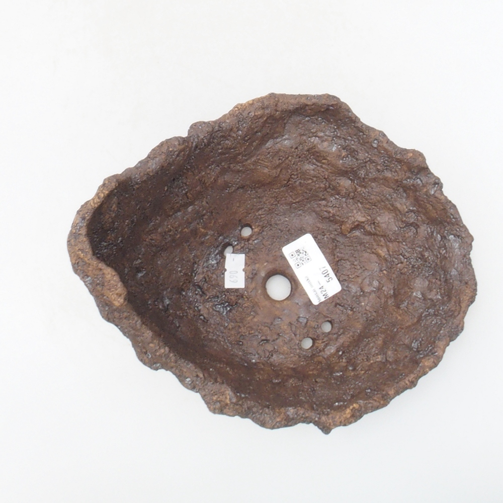Muszla ceramiczna 18 x 17 x 17,5 cm, kolor brązowy