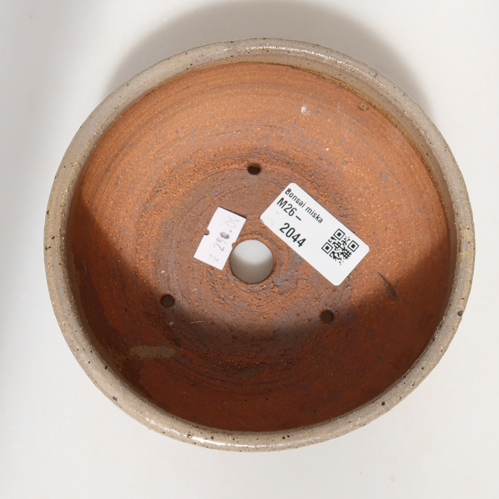 Ceramiczna miska do bonsai 14 x 14 x 5,5 cm, kolor beżowy