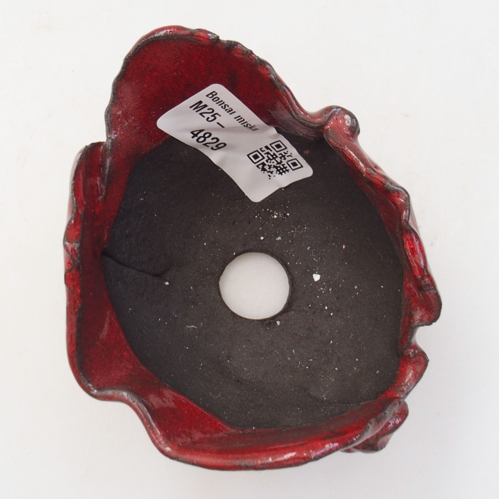 Muszla ceramiczna 8 x 7 x 5,5 cm, kolor czerwony