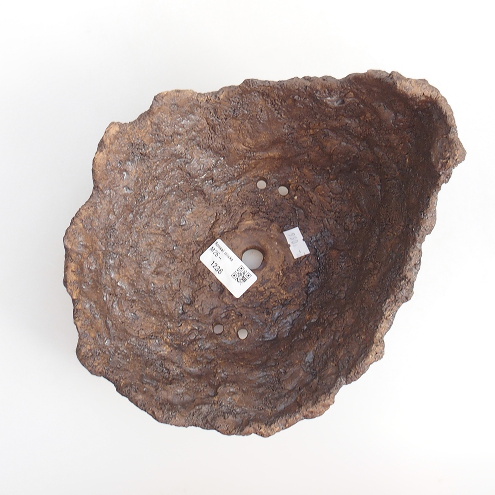 Ceramiczna skorupa 19 x 15 x 14 cm, kolor brązowy