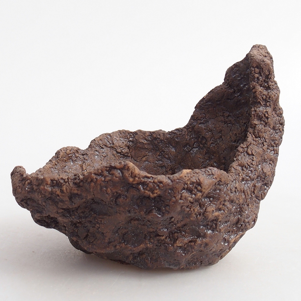 Ceramiczna muszla 10 x 8 x 9,5 cm, kolor brązowy