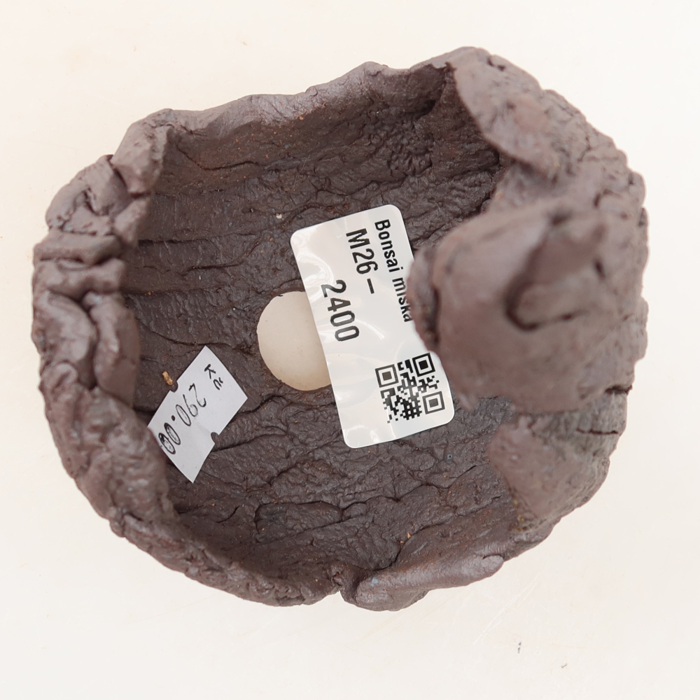 Ceramiczna skorupa  8 x 8 x 13 cm, kolor brązowy