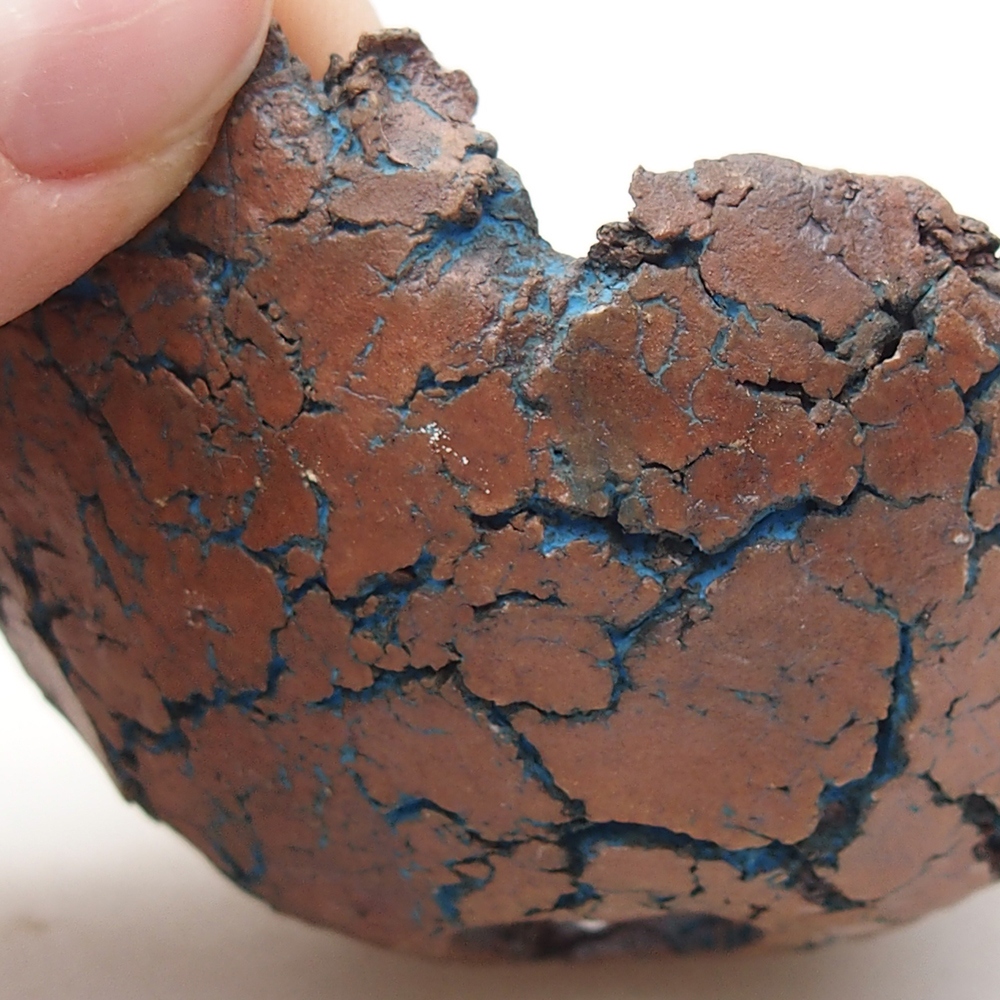 Ceramiczna muszla 7,5 x 7 x 3,5 cm, kolor niebieski