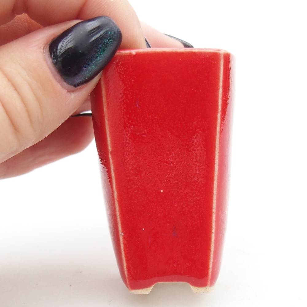 Mini miska do bonsai 3,5 x 3 x 5,5 cm, kolor czerwony