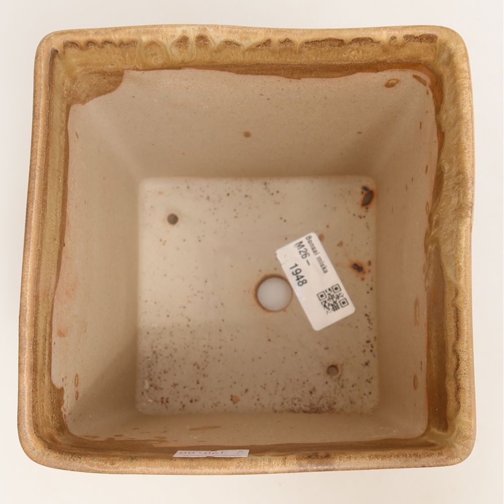 Ceramiczna miska do bonsai 13 x 13 x 13,5 cm, kolor beżowy