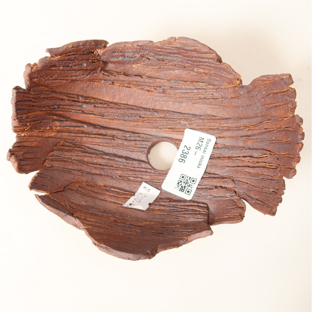 Ceramiczna skorupa  14,5 x 11,5 x 7,5 cm, kolor brązowy