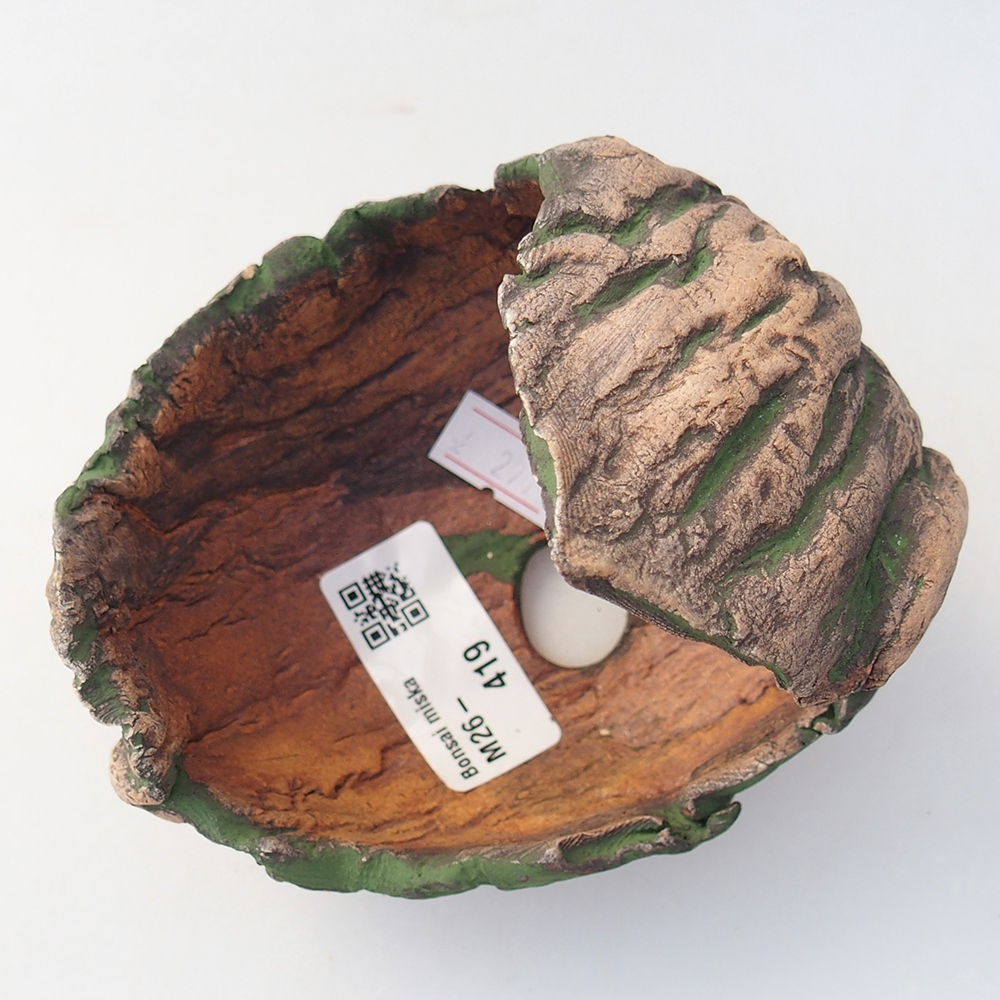 Ceramiczna muszla 11 x 10 x 10 cm, kolor zielony