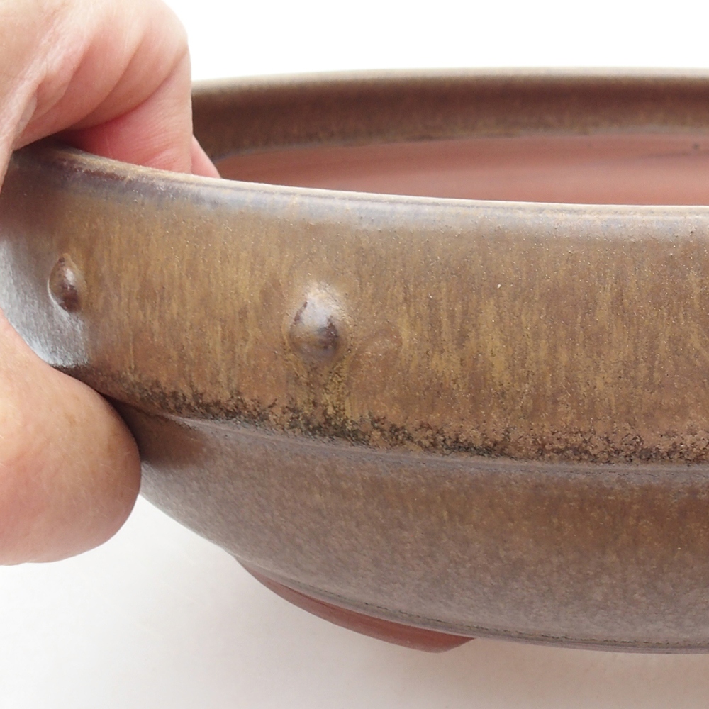 Ceramiczna miska bonsai 19,5 x 19,5 x 6,5 cm, kolor brązowy