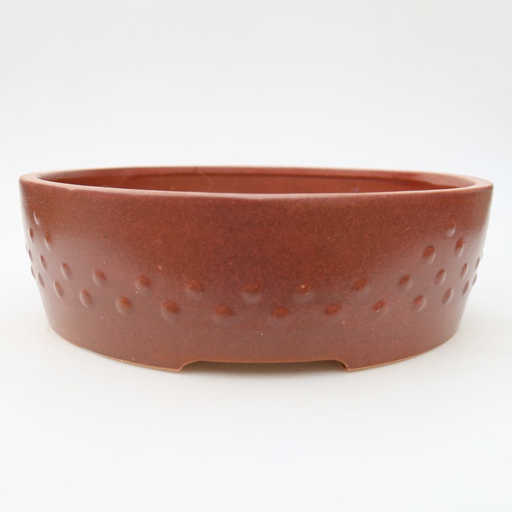Ceramiczna miska do bonsai 24 x 24 x 7 cm, kolor bordowy