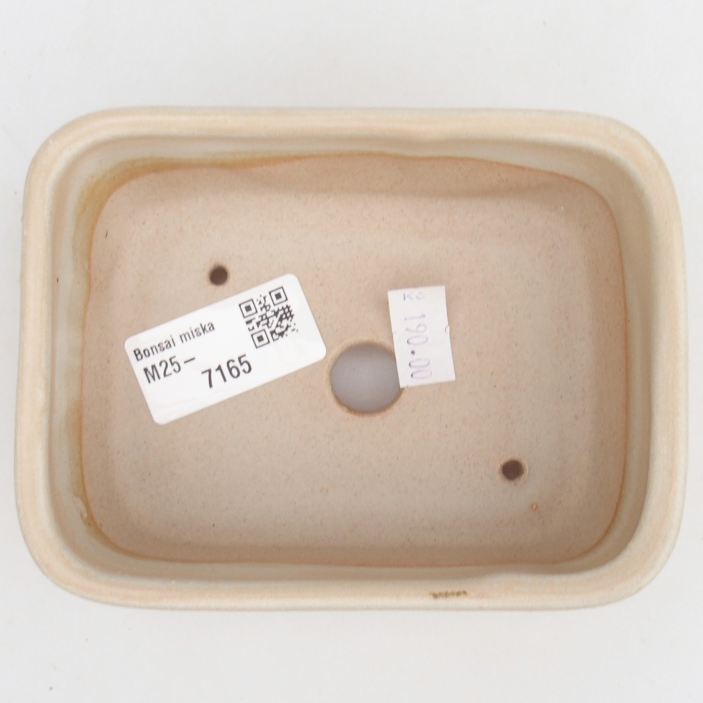 Ceramiczna miska do bonsai 12,5 x 10 x 5 cm, kolor beżowy