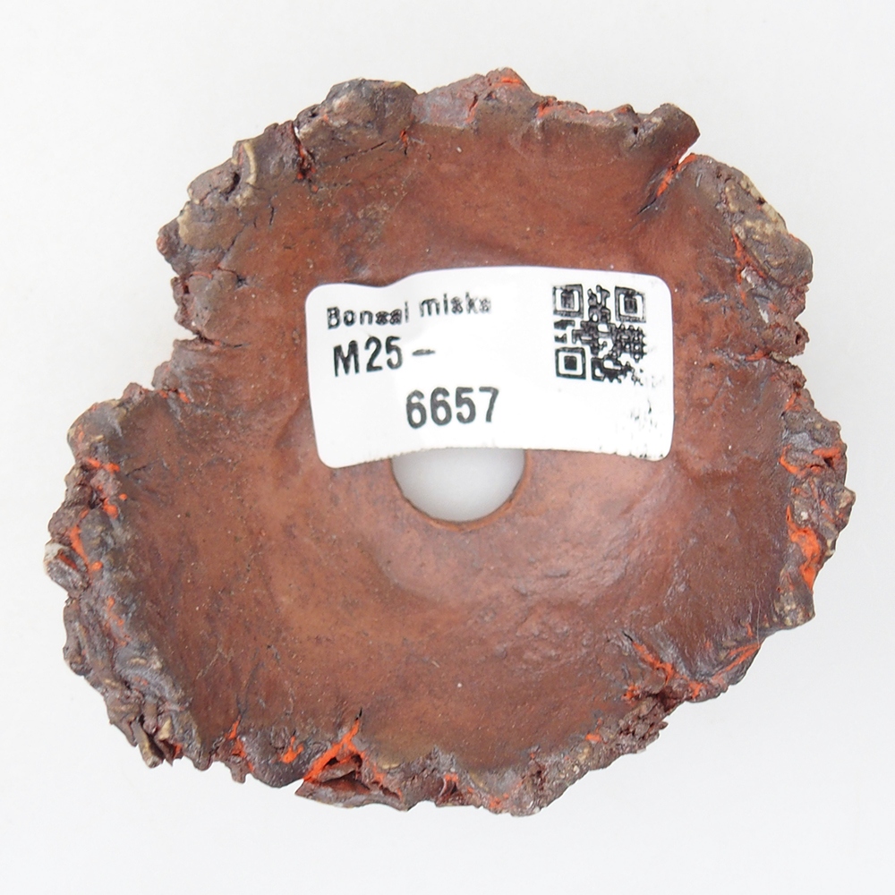 Ceramiczna skorupa 8 x 7 x 3,5 cm, kolor pomarańczowy