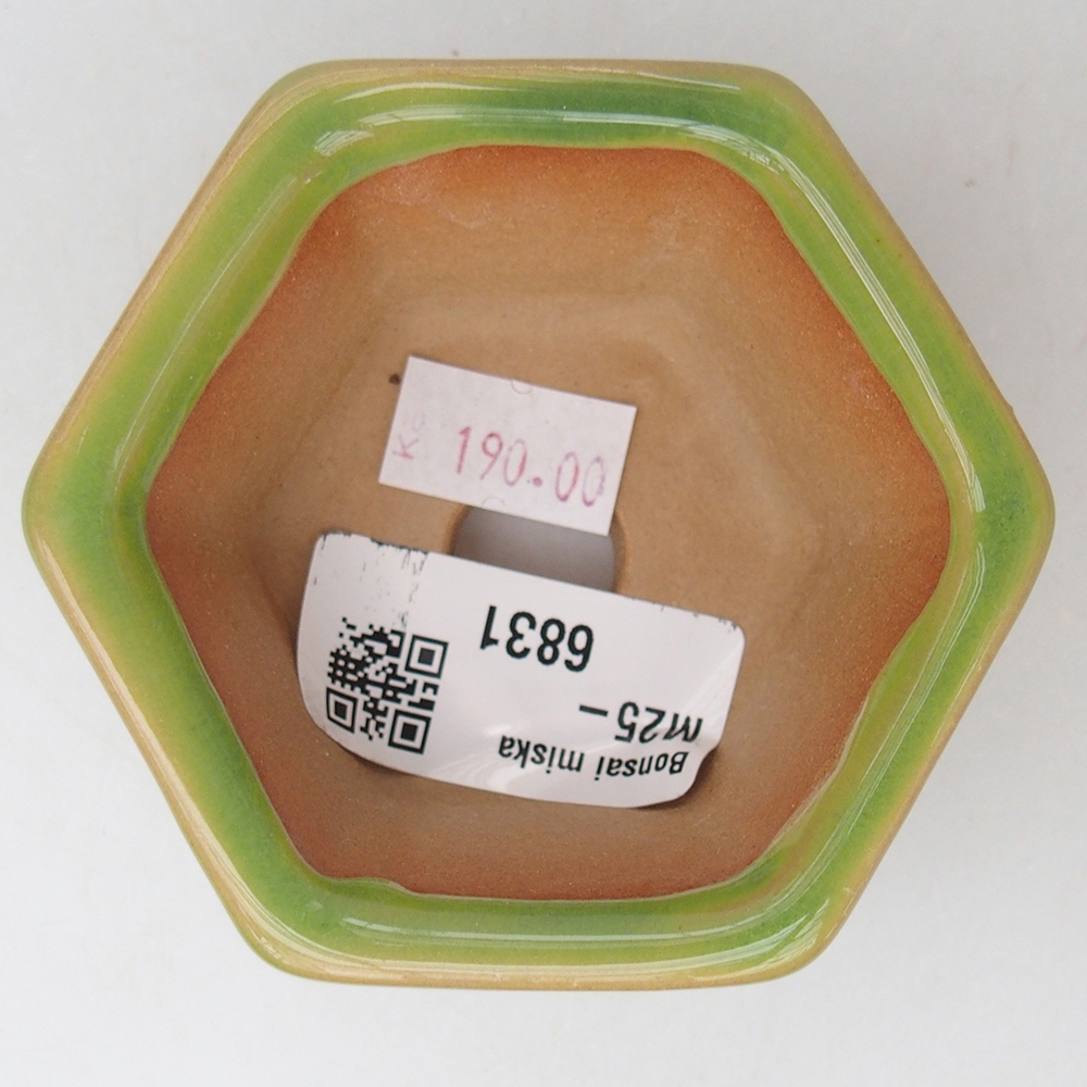 Ceramiczna miska do bonsai 7,5 x 7 x 4 cm, zielona