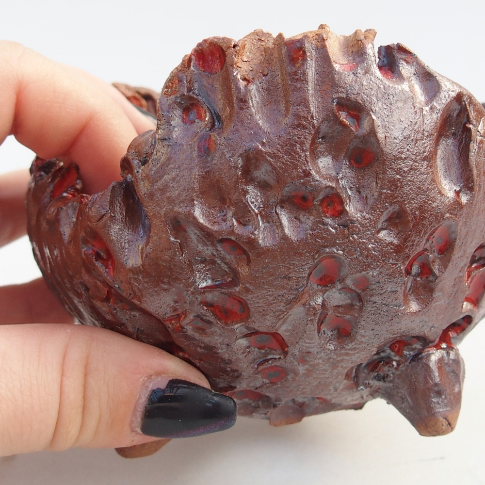 Ceramiczna muszla 10 x 9,5 x 8 cm, kolor brązowy