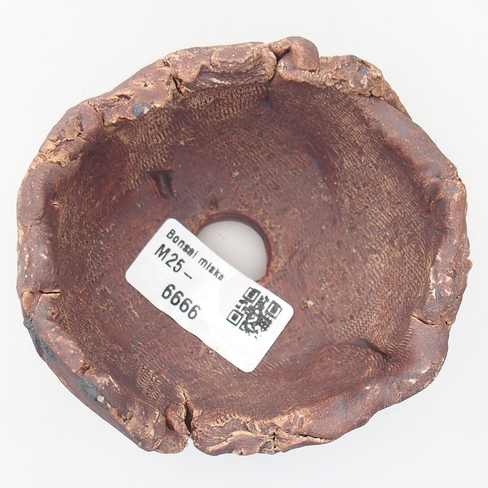 Muszla ceramiczna 9 x 8,5 x 6 cm, kolor brązowy