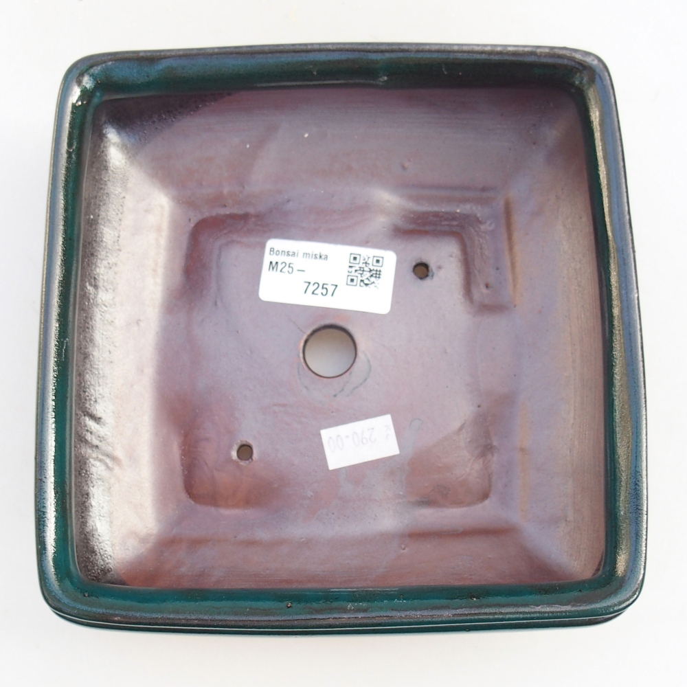 Ceramiczna miska do bonsai 15,5 x 15,5 x 6 cm, zielona