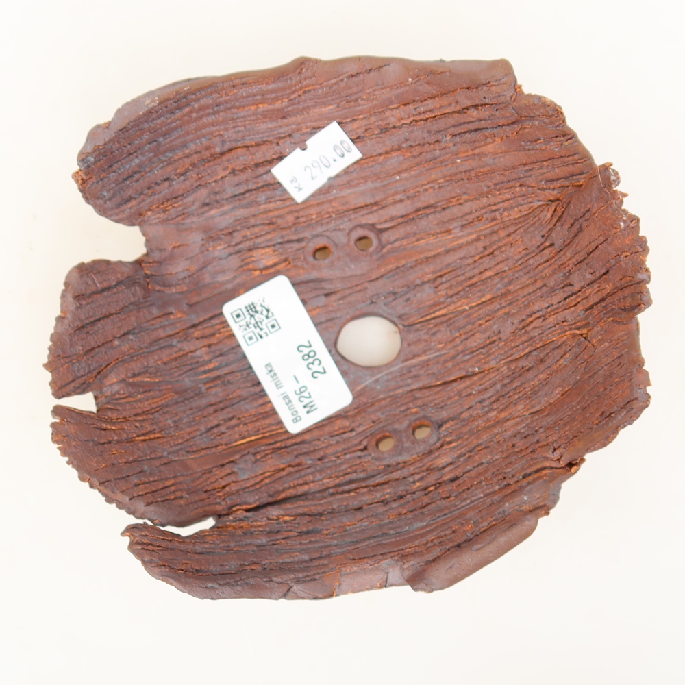 Ceramiczna skorupa  15 x 13 x 6,5 cm, kolor brązowy