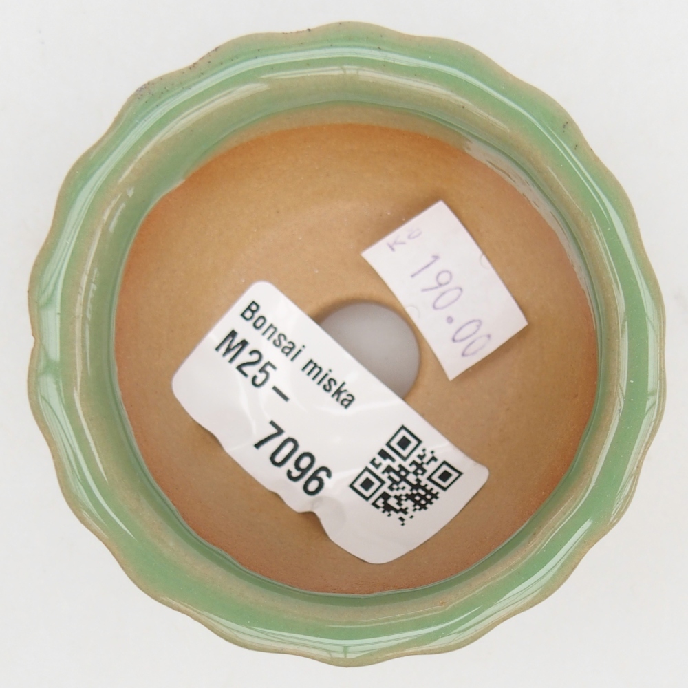 Ceramiczna miska do bonsai 7 x 8,5 x 3,5 cm, zielona