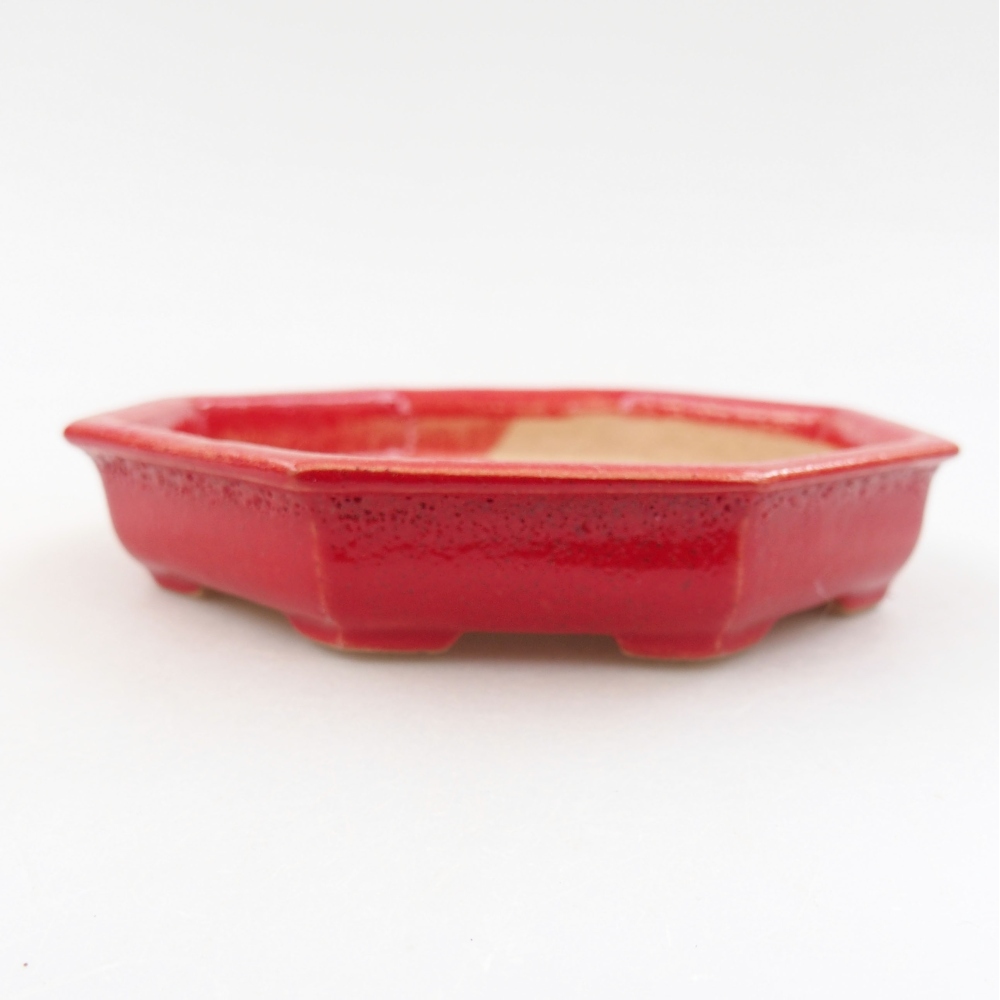 Ceramiczna miska bonsai 11,5 x 11,5 x 2,5 cm, kolor Czerwony
