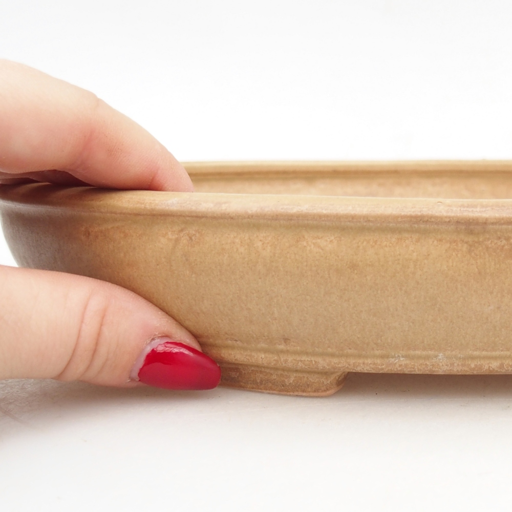 Ceramiczna miska do bonsai 24,5 x 20 x 4 cm, kolor beżowy