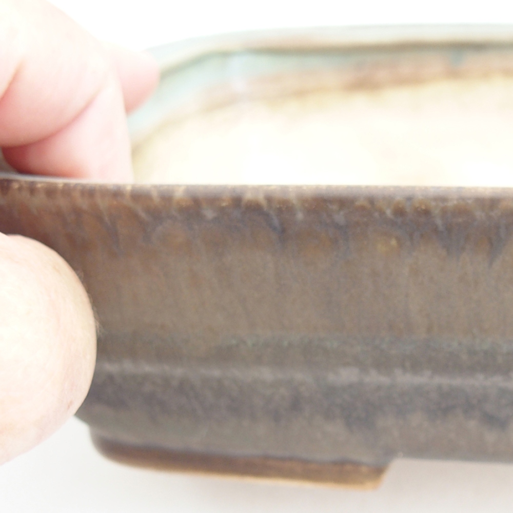Ceramiczna miska do bonsai 21,5 x 17,5 x 5,5 cm, zielona