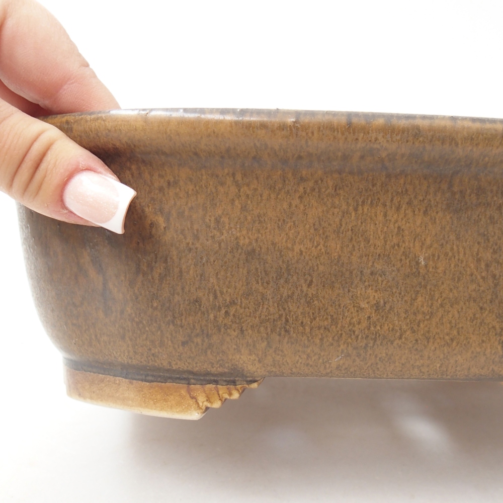 Ceramiczna miska na bonsai 25 x 21 x 8 cm, brązowa