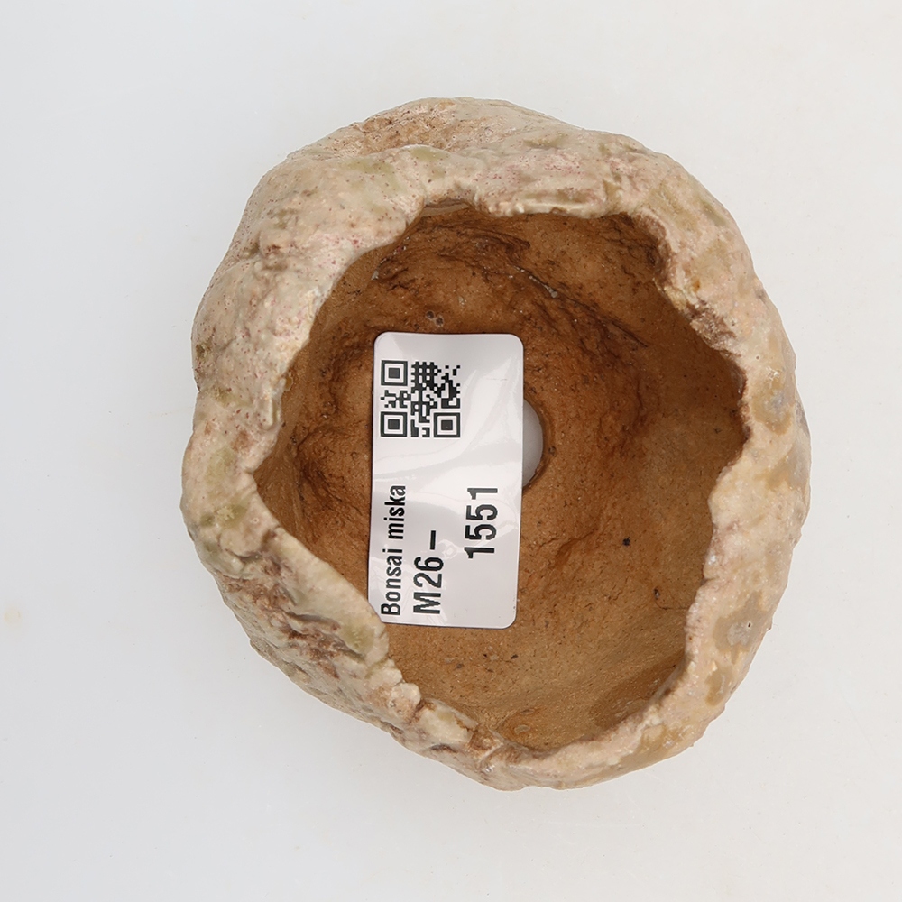 Ceramiczna skorupka  5,5 x 5 x 5,5 cm, kolor beżowo-brązowy