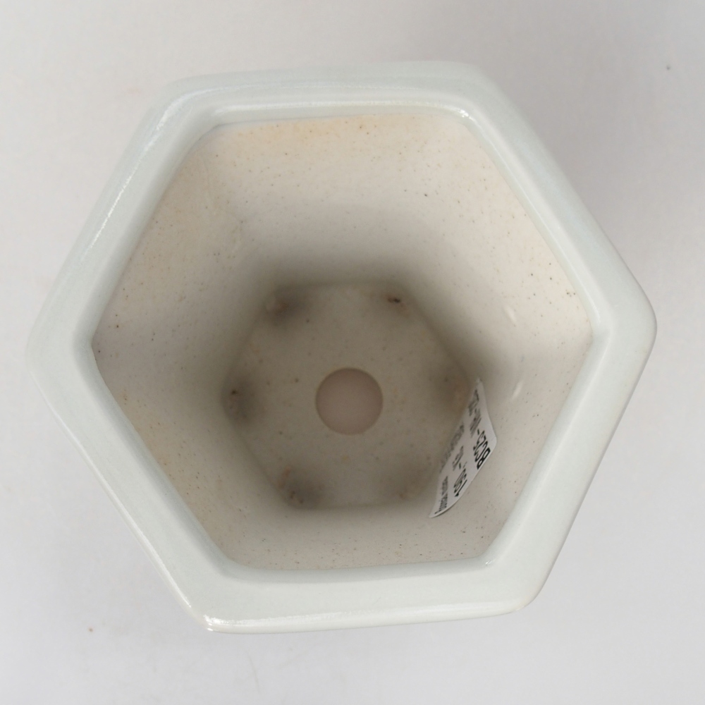 Ceramiczna miska do bonsai 10 x 9 x 9 cm, kolor biały