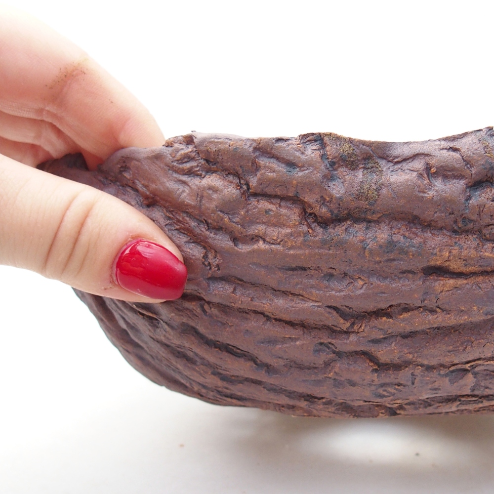 Ceramiczna muszla 20 x 17,5 x 7 cm, kolor brązowy