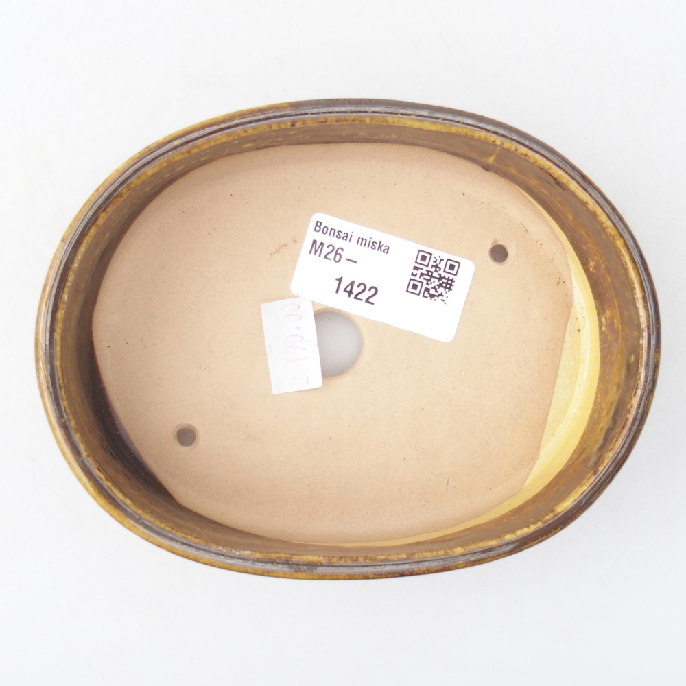 Ceramiczna miska do bonsai 12,5 x 10 x 3,5 cm, żółta